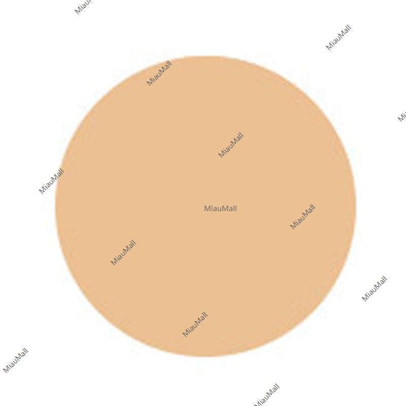ETVOS Matte Smooth Mineral Foundation