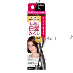 DARIYA Salon de Pro Gray Hair Touch-up Concealer EX