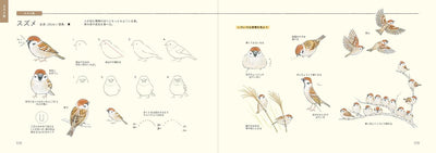 PREORDER How to Draw Japan's Wild Birds: An Illustrated Guide