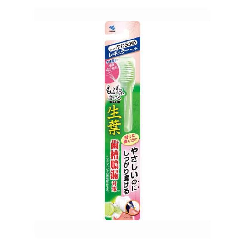 Kobayashi Shoyo Soft Bristle Toothbrush