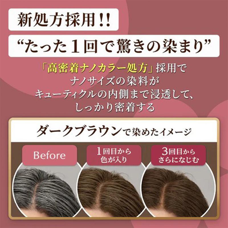 CIELO Hoyu Color Treatment Retouch Hair Conditioner (Dark Brown)
