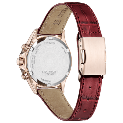 CITIZEN Basic Collection Limited Model Watch FB1405-15W