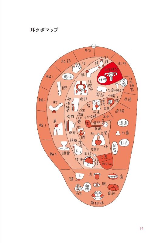 PREORDER The Amazing Ear Acupressure Handbook