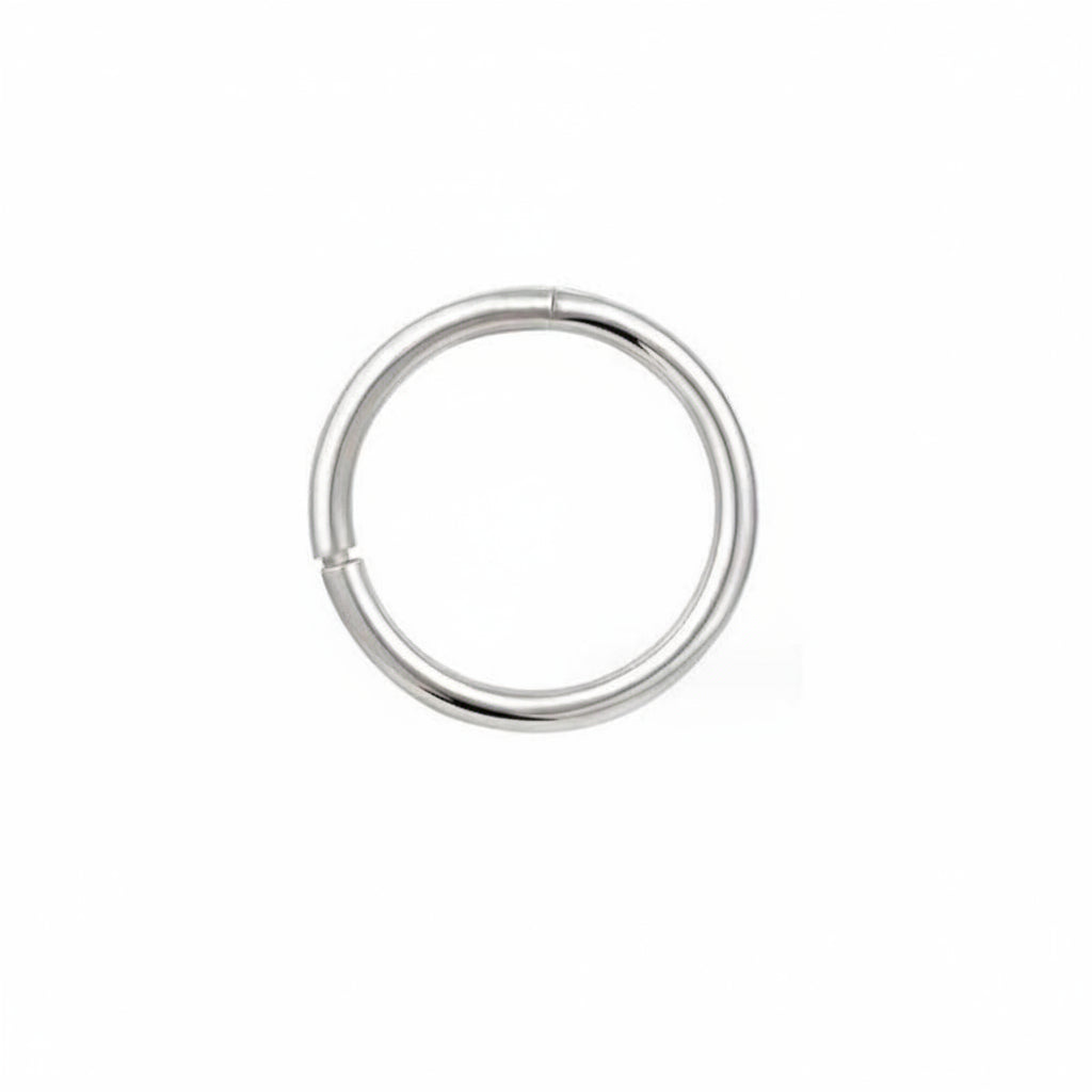 LUPIS 16G Silver Ring Body Piercing