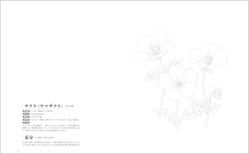 PREORDER 24 Solar Terms Flower Coloring Book: Coloring the Seasons with 24 Flowers