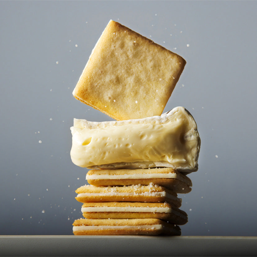 Tokyo Milk Cheese Factory: Salt & Camembert Cheese Cookies (Pack of 9)