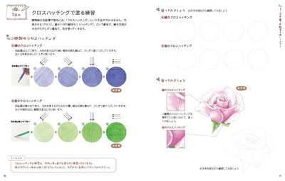 PREORDER Master Botanical Drawing with Colored Pencils in 14 Days: A Trace-and-Practice Workbook