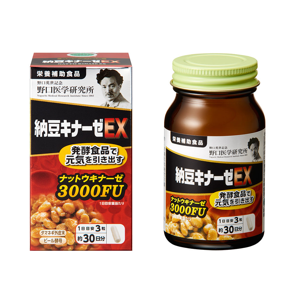 노구치 나토키나제 HQ