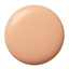 Shiseido Clé de Peau Beauté Radiant Fluid Foundation Matte SPF 20