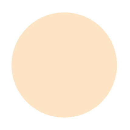 POLA B.A Powdery Balm Foundation M