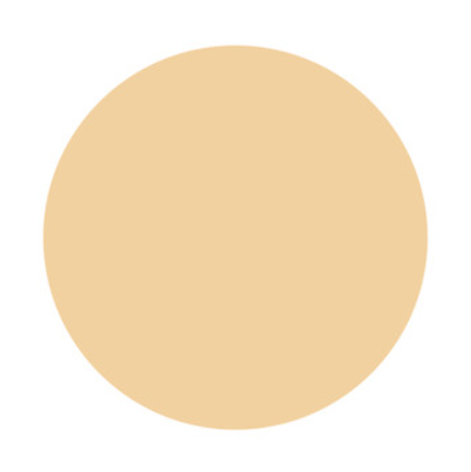 POLA B.A Powdery Balm Foundation M
