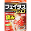 Hisamitsu Feitas 5.0 Warming Pain Patch