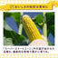Ajinomoto Loaded Corn Soup