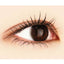 CANMAKE Metallic Mascara (01 Black)