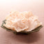 Mochikichi Korya Ikeru Shrimp Flavor Rice Snacks