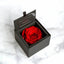 AMOROSA MODERNO Diamond Rose 85 [First Model] Bright Red