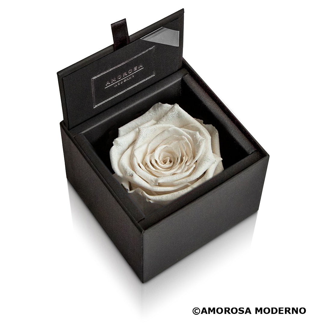 AMOROSA MODERNO Diamond Rose 85 [First Model] White