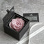 AMOROSA MODERNO Diamond Rose 85 [First Model] Feminine Pink