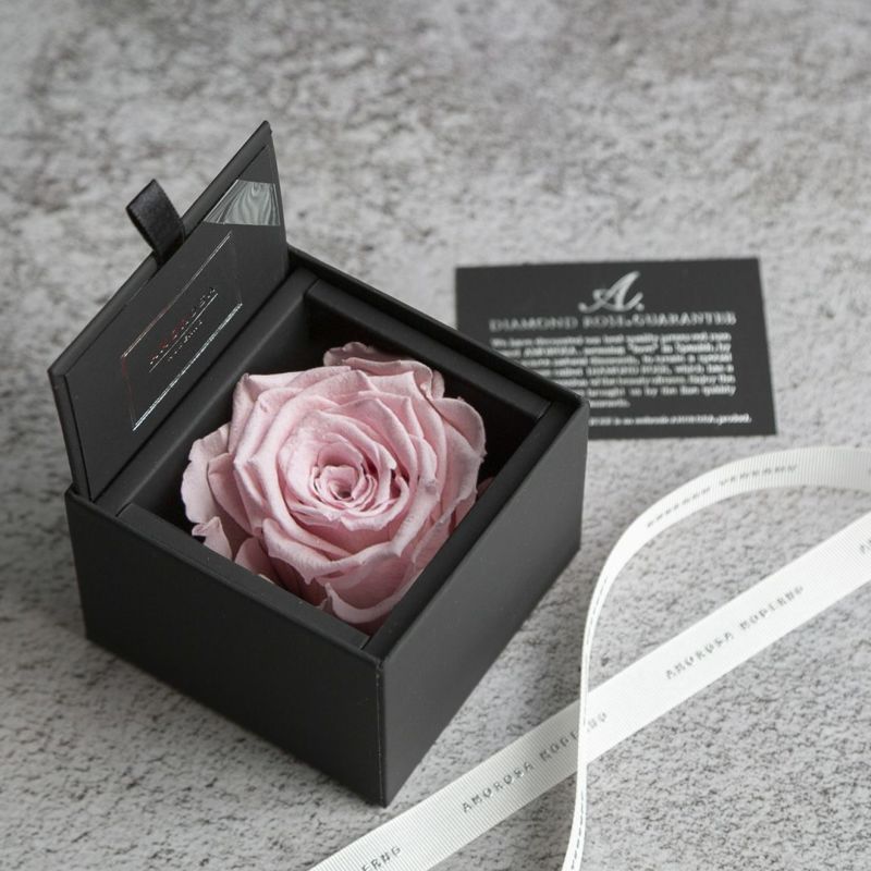 AMOROSA MODERNO Diamond Rose 85 [First Model] Feminine Pink