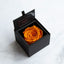 AMOROSA MODERNO Diamond Rose 85 [First Model] Orange