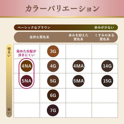 HOYU Bigen Cream Tone Gray Coverage Hair Color (Chestnut Brown)