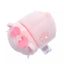 Disney Sakura Small Tsum Tsum Plush