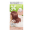 KAO Liese Creamy Bubble Color