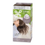 KAO Liese Creamy Bubble Color