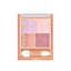CEZANNE Beige Tone Eyeshadow (04, 05)