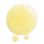 Shiseido Benefique Wrinkle Smoothing Control Serum