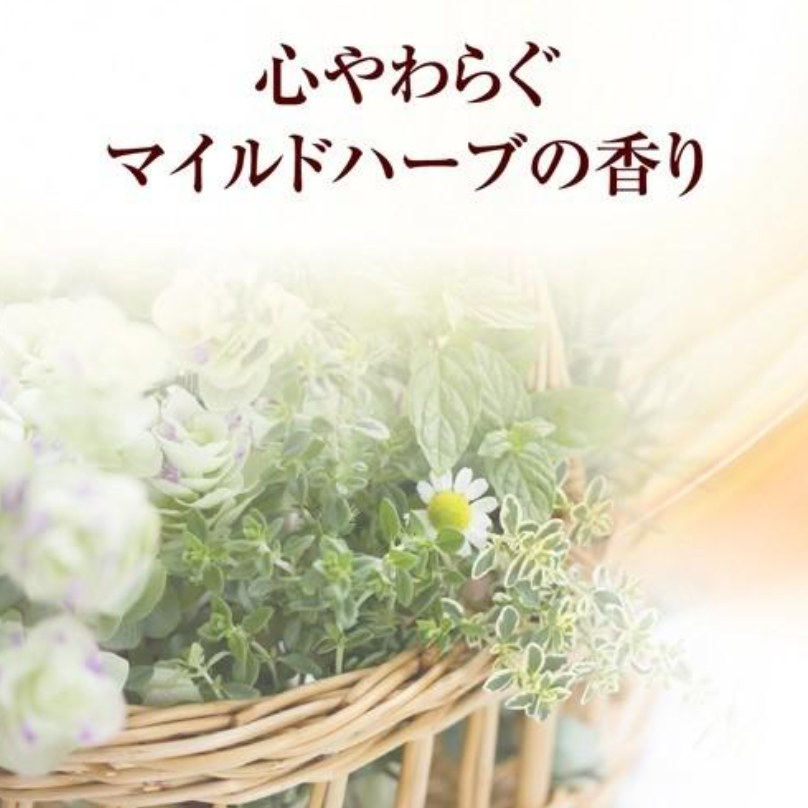 50 Blessings - Nourishing Hair and Scalp Shampoo