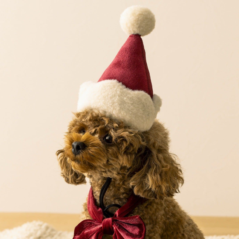 3COINS Pet Santa Hat & Bow Set
