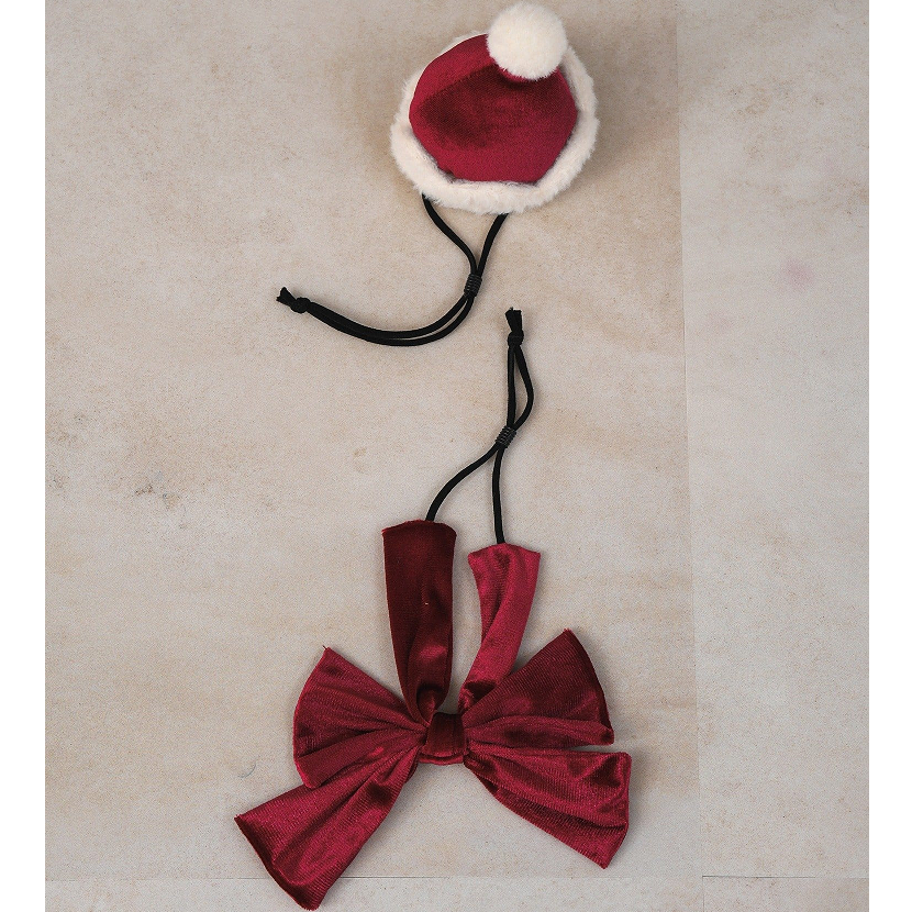 3COINS Pet Santa Hat & Bow Set
