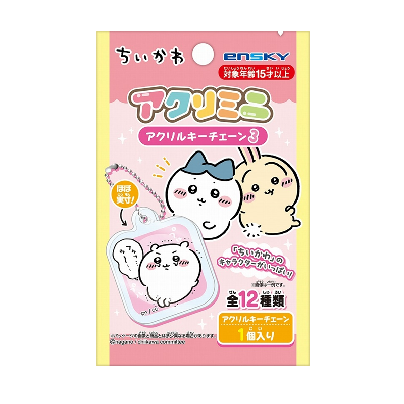 Chiikawa Volume 3 Blind Box Acrylic Keychain
