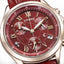 CITIZEN Basic Collection Limited Model Watch FB1405-15W