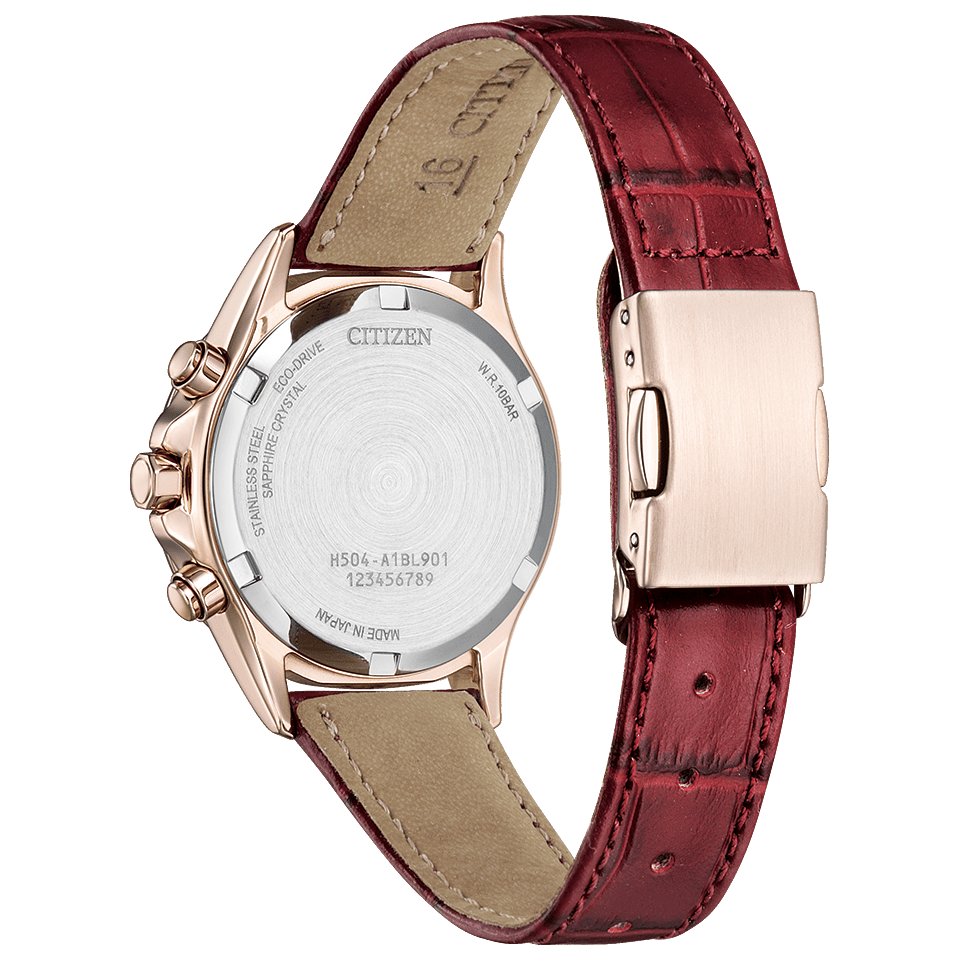 CITIZEN Basic Collection Limited Model Watch FB1405-15W