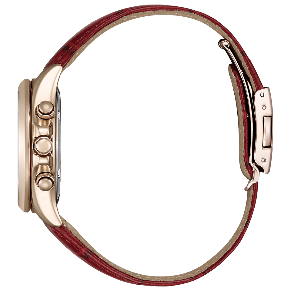 CITIZEN Basic Collection Limited Model Watch FB1405-15W