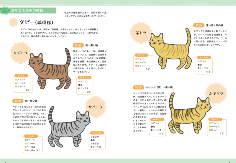 PREORDER Cat Photo Reference Book for Artists: Free to Trace & Copy