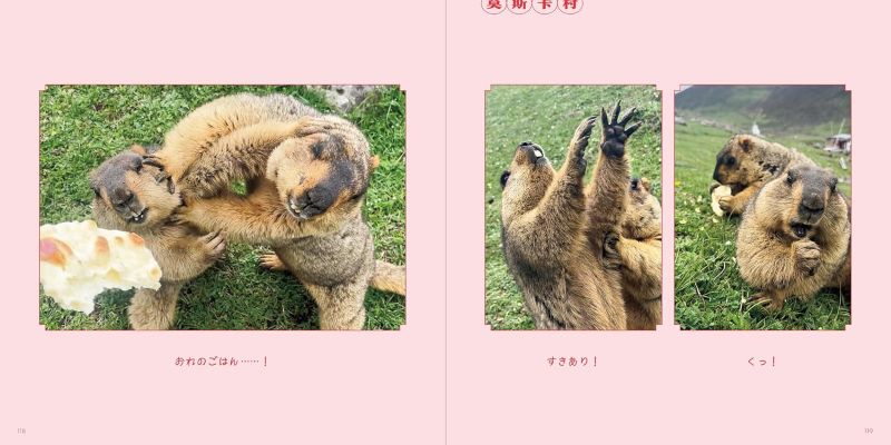 PREORDER Mamochi the Marmot