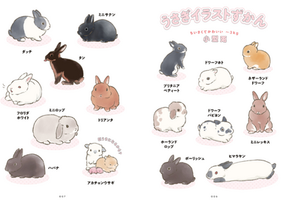 PREORDER The Way of the Rabbit: Why Rabbits Are So Adorable