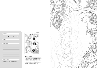 PREORDER Travel Destinations Coloring Book: Refresh Your Brain Through Coloring