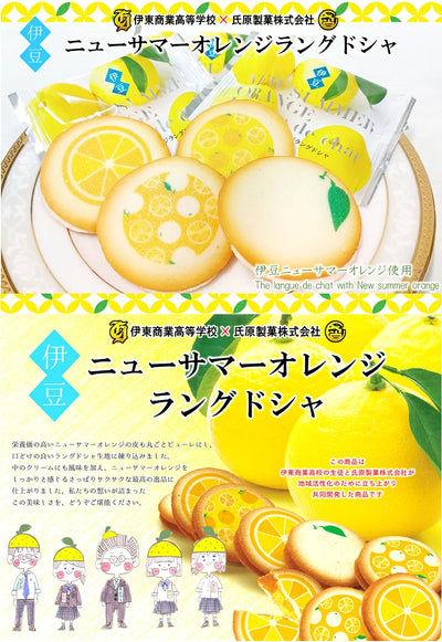 PREORDER Izu New Summer Orange Langue de chat Cookies