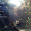 PREORDER DIVE TO MONSTER HUNTER: WORLD – Official Setting & Design Collection