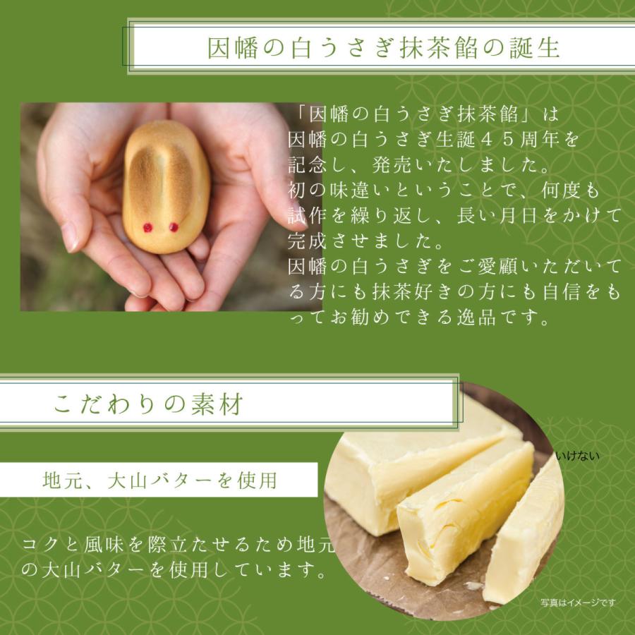 PREORDER Kotobuki Seika Inaba no Shiro Usagi — Matcha Bean Paste Manju