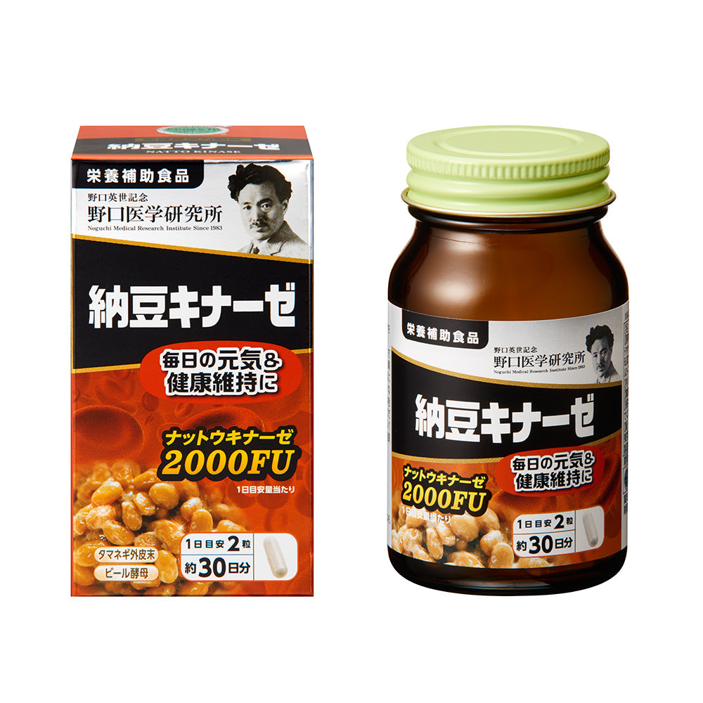 노구치 나토키나제 HQ